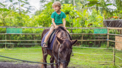 ?רכיבה טיפולית על סוסים מהו טיפול על סוסים ואיך הוא עוזר