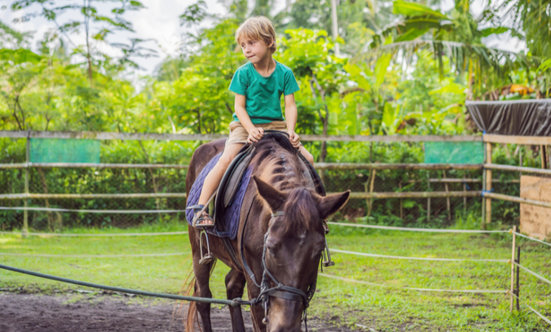 ?רכיבה טיפולית על סוסים מהו טיפול על סוסים ואיך הוא עוזר